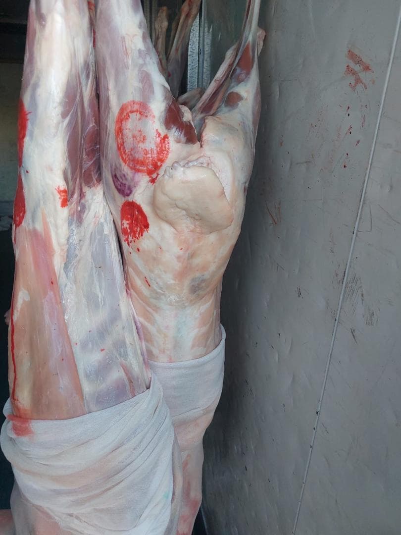Halal Meat